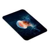 クラゲ水中 – 濃い光 マグネット (右側)