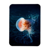 クラゲ水中 – 濃い光 マグネット (縦)