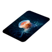 クラゲ水中 – 濃い光 マグネット (左側)