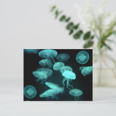 クラゲ白熱［赤熱］光を放つ ポストカード (スタンド正面)