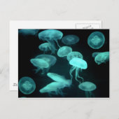 クラゲ白熱［赤熱］光を放つ ポストカード (正面/裏面)