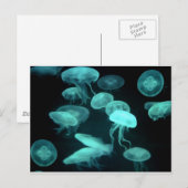 クラゲ白熱［赤熱］光を放つ ポストカード (正面/裏面)
