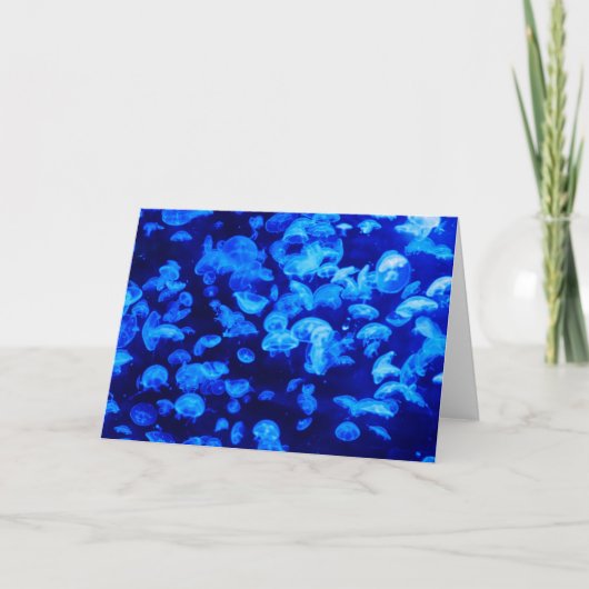 クラゲ群 カード (正面)