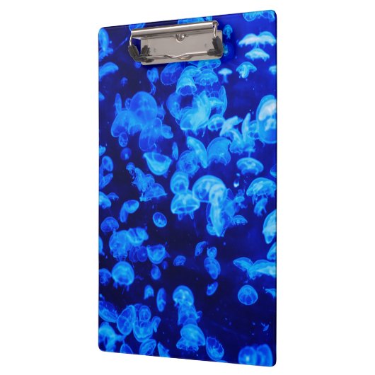 クラゲ群 クリップボード (左)