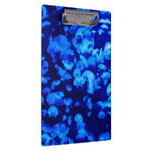 クラゲ群 クリップボード (右)