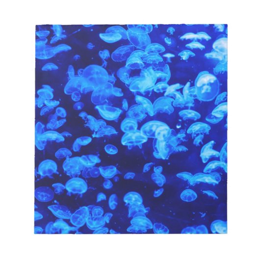 クラゲ群 ノートパッド (正面)