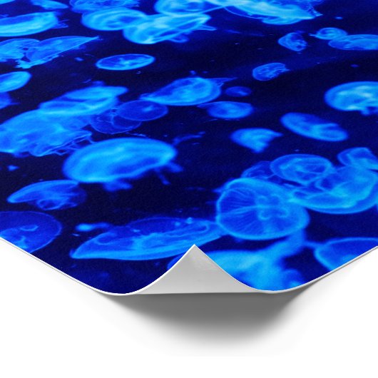 クラゲ群 ポスター (角)