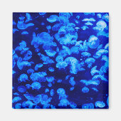 クラゲ群 マグネット (正面)