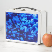 クラゲ群 メタルランチボックス (インサイチュ)