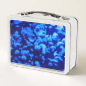 クラゲ群 メタルランチボックス (裏面)