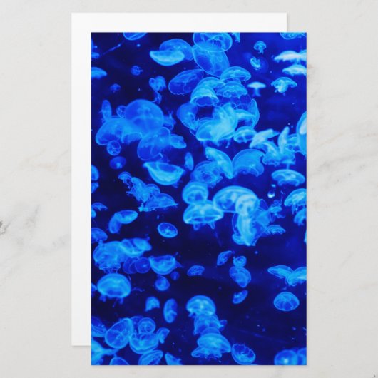 クラゲ群 便箋 (正面/裏面)
