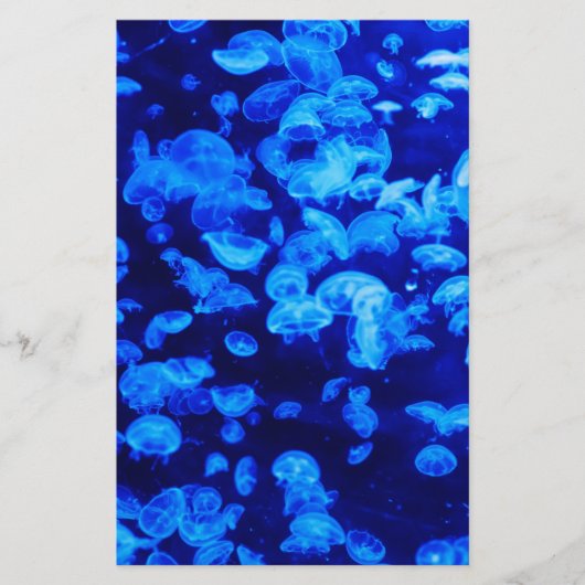 クラゲ群 便箋 (正面)