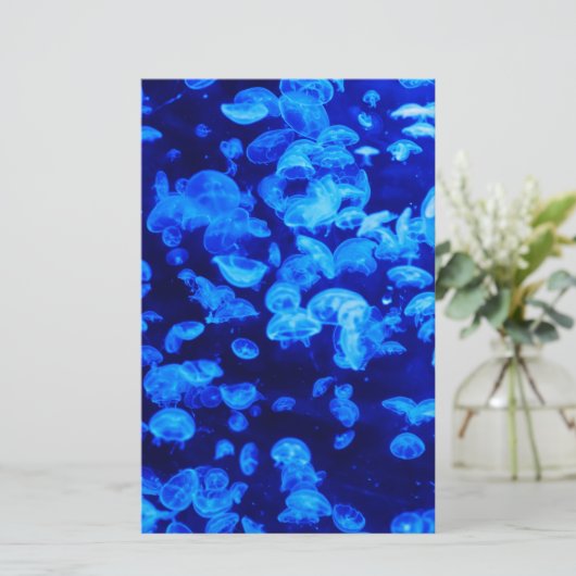 クラゲ群 便箋 (スタンド正面)