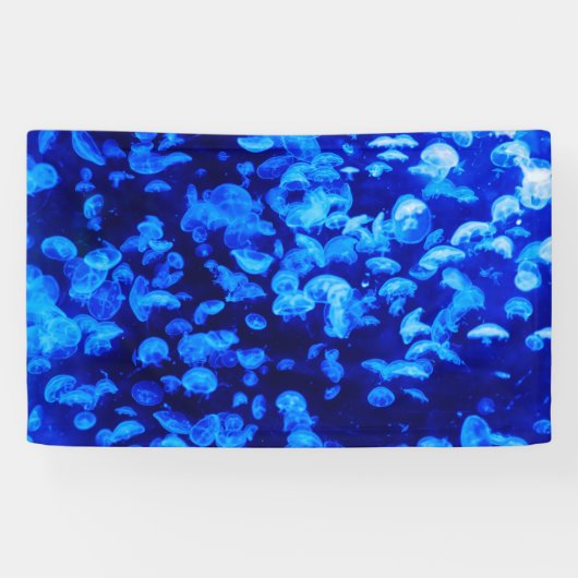 クラゲ群 横断幕 (横)