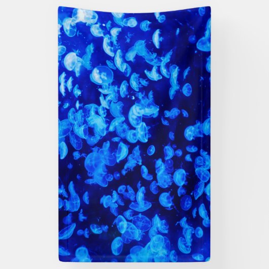 クラゲ群 横断幕 (縦)