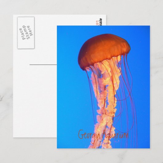 クラゲ葉書 ポストカード (正面/裏面)