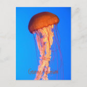 クラゲ葉書 ポストカード (正面)
