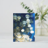 クラゲ葉書 ポストカード (スタンド正面)