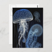 クラゲ葉書 ポストカード (正面/裏面)