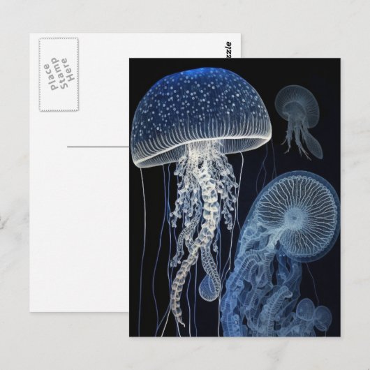 クラゲ葉書 ポストカード (正面/裏面)