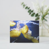 クラゲ葉書 ポストカード (スタンド正面)