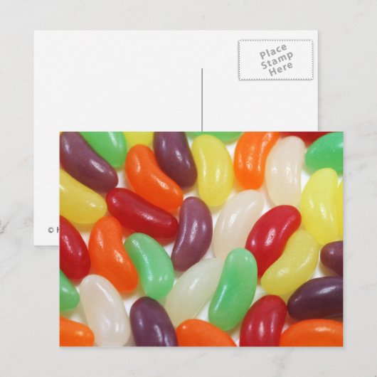 クラゲ葉書 ポストカード (正面/裏面)