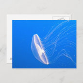 クラゲ触手 ポストカード (正面/裏面)