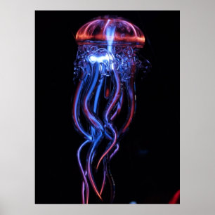 クラゲ113384素晴らしい写真海洋生物ゼリー ポスター
