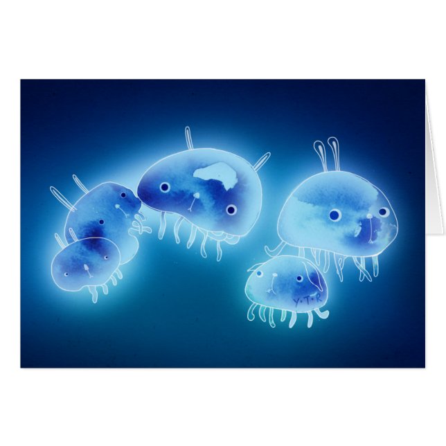 クラゲ2013年 (正面横)