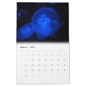 クラゲ2017年壁カレンダー カレンダー (2月 2027)