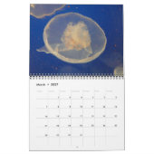 クラゲ2017年壁カレンダー カレンダー (3月 2027)