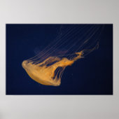 クラゲ2 ポスター (正面)