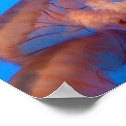 クラゲ4 ポスター (角)