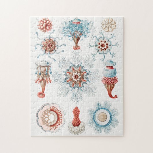 クラゲ,シフォノフォラエStaatsquallen海洋生物 ジグソーパズル (縦)