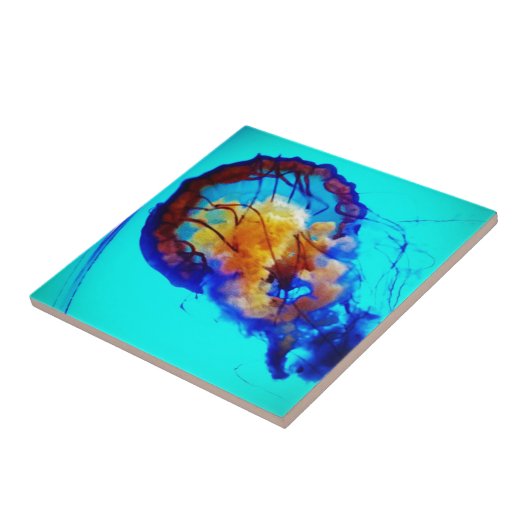 クラゲ タイル (側面)