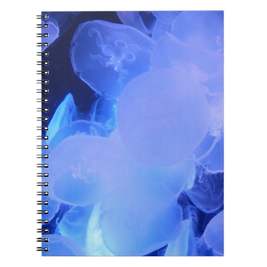 クラゲ ノートブック (正面)
