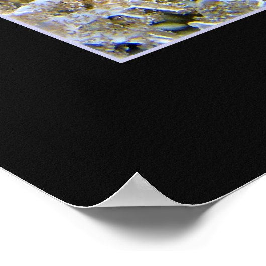 クラゲ ポスター (角)