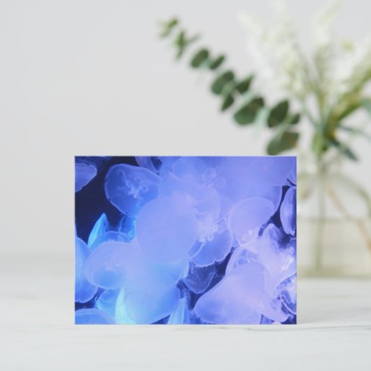 クラゲ ポストカード (スタンド正面)