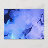 クラゲ ポストカード (正面)