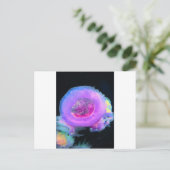 クラゲ ポストカード (スタンド正面)