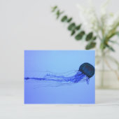 クラゲ ポストカード (スタンド正面)