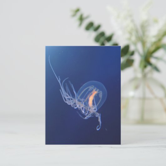 クラゲ ポストカード (スタンド正面)