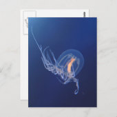 クラゲ ポストカード (正面/裏面)