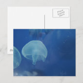 クラゲ ポストカード (正面/裏面)