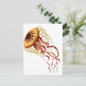 クラゲ ポストカード (スタンド正面)