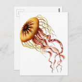 クラゲ ポストカード (正面/裏面)