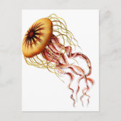 クラゲ ポストカード (正面)