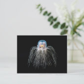 クラゲ ポストカード (スタンド正面)