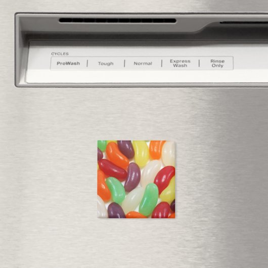 クラゲ マグネット (インサイチュ (食洗機))