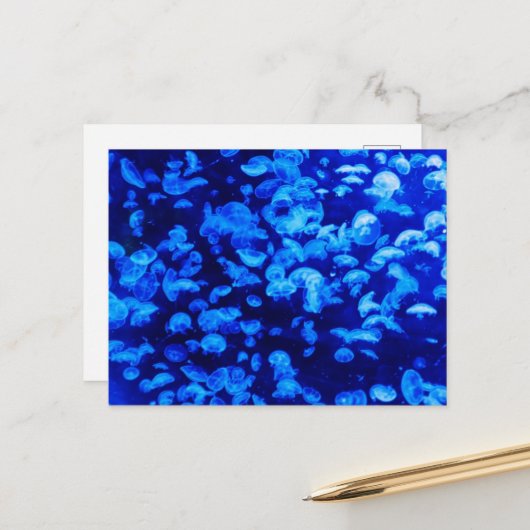 クラゲ,海獣,海生物,海動物 ポストカード (正面/裏面インサイチュ)